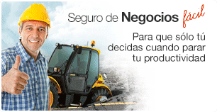 Seguros para Negocios