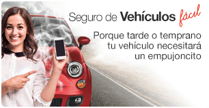 Seguros para Vehículos